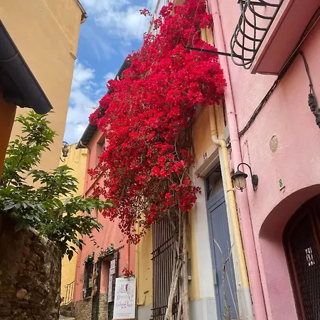 Apartmán 3vse-cob3 Equipe Pour 2-3 Personnes Proche De La *